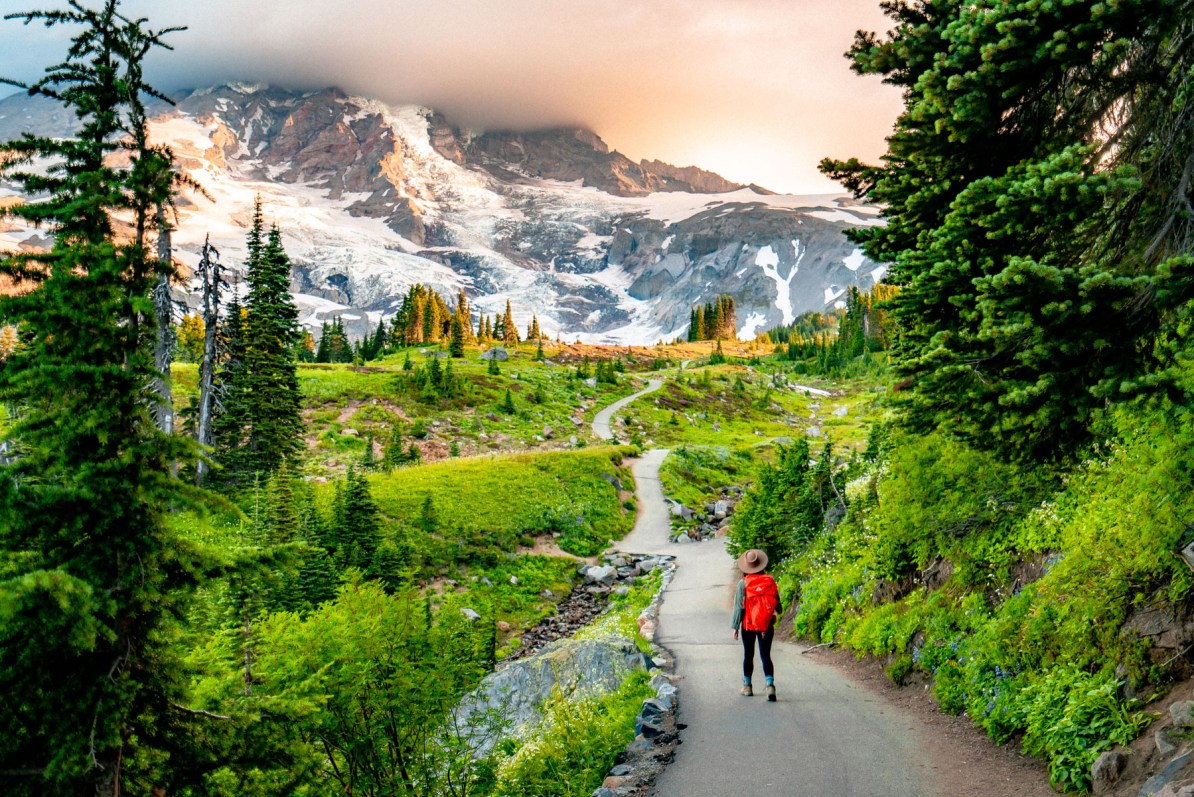 RainierHikeView